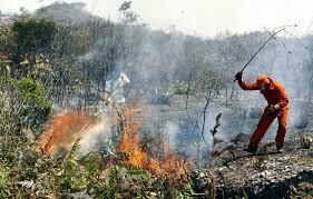 Imagem de compartilhamento para o artigo MS suspende queimadas diante de previsão de seca extrema e alta temperatura da MS Todo dia